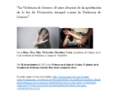 La Violencia de Género 20 años después de la aprobación de la ley de Protección integral contra la Violencia de Genero