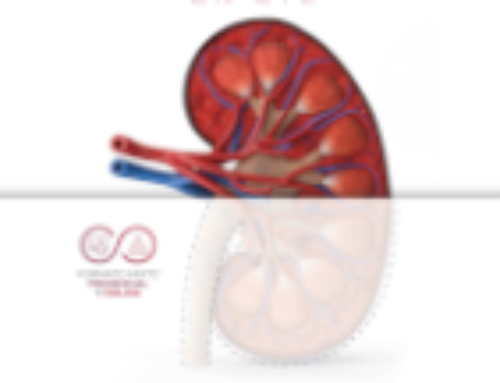 Reunión Trasplante Renal Vivo en Castilla y León