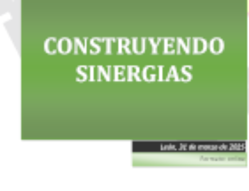 Construyendo Sinergias